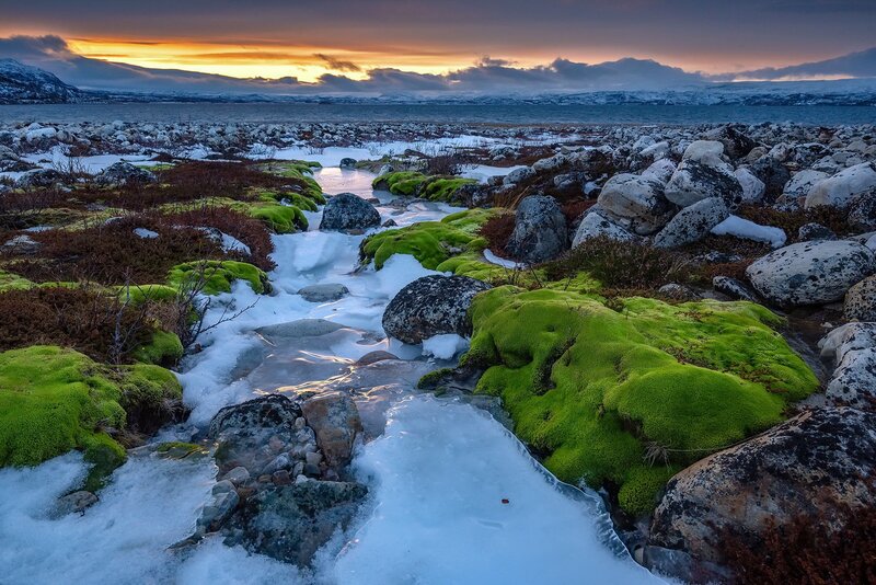 Moss-covered Rocks Stream