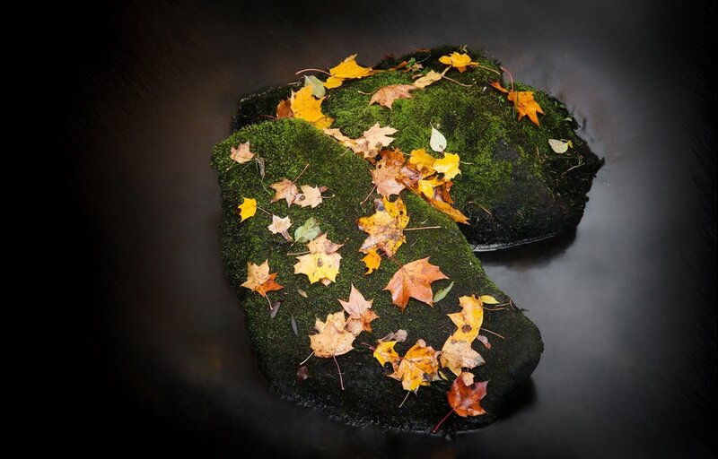 Moss-covered Rocks with Leaves — Green