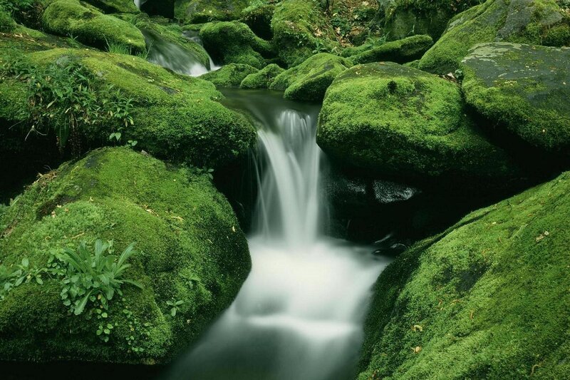 Moss-covered Rocks with Stream — Green, Serene
