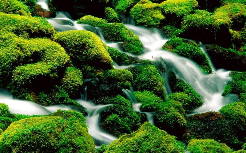 Moss-covered Rocks with Stream — Serene