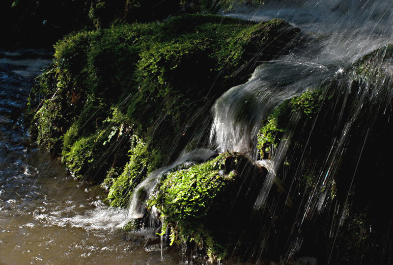 Moss-covered Rocks with Waterfall — Green