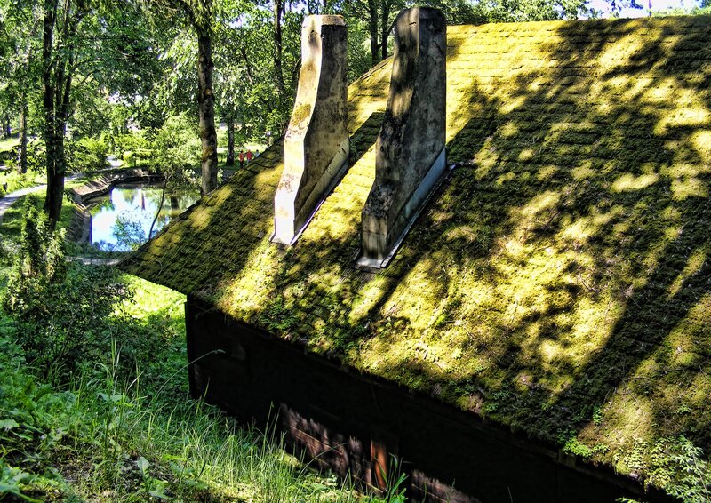 Moss-covered roof with chimneys
