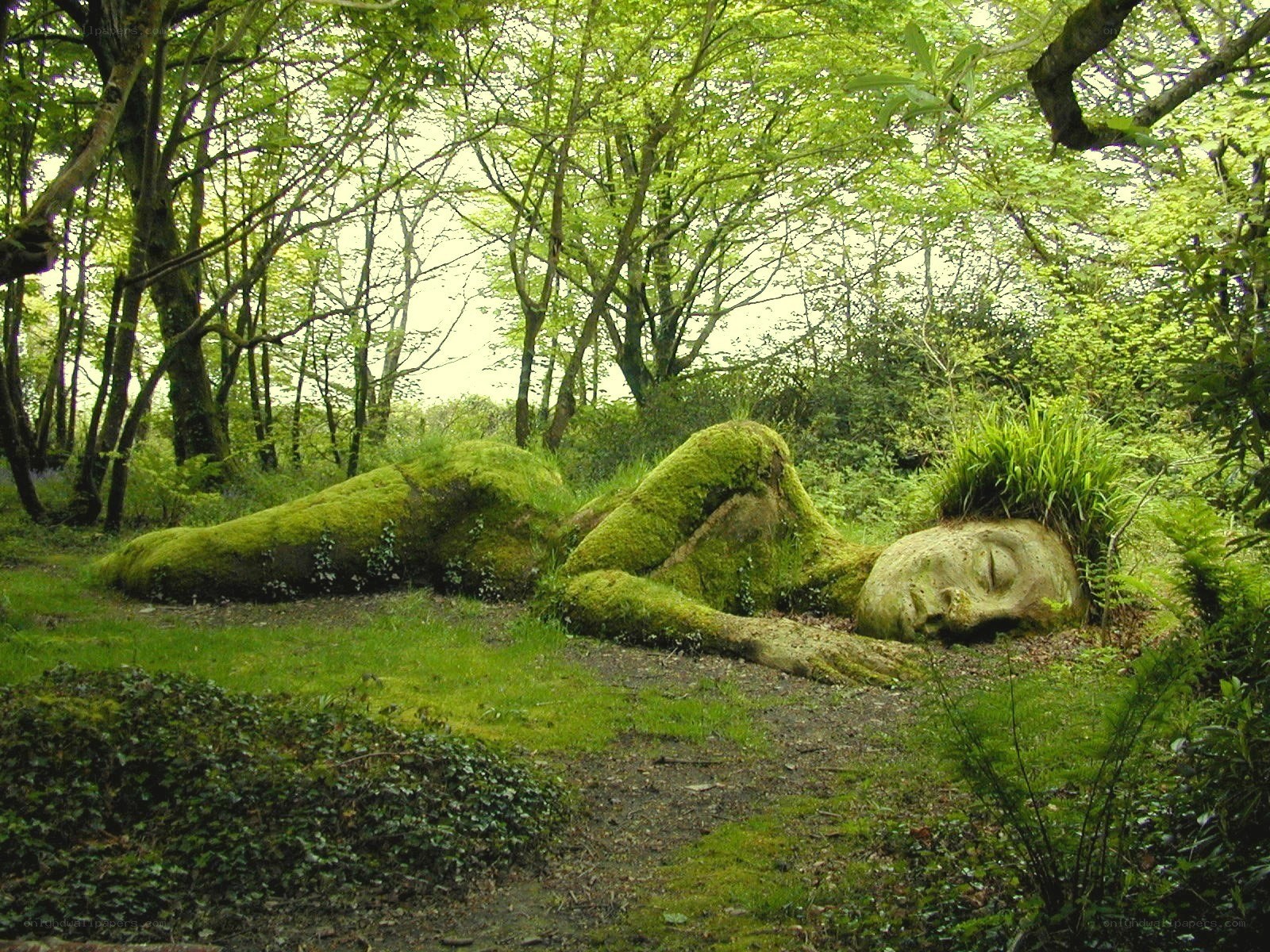 Moss-covered sculpture in forest