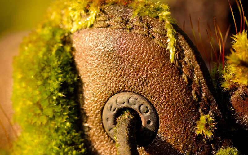 Moss-covered Shoe Sole — Green