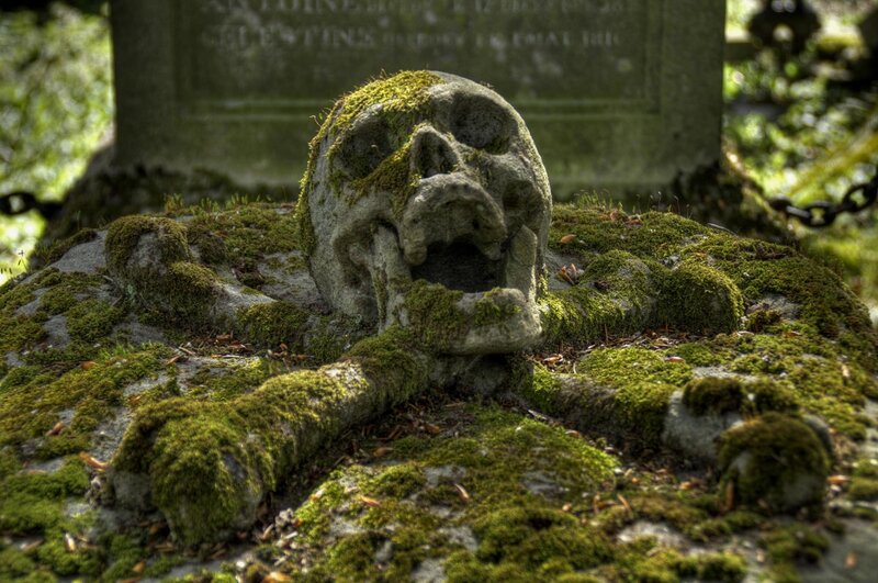 Moss-covered Skull Sculpture
