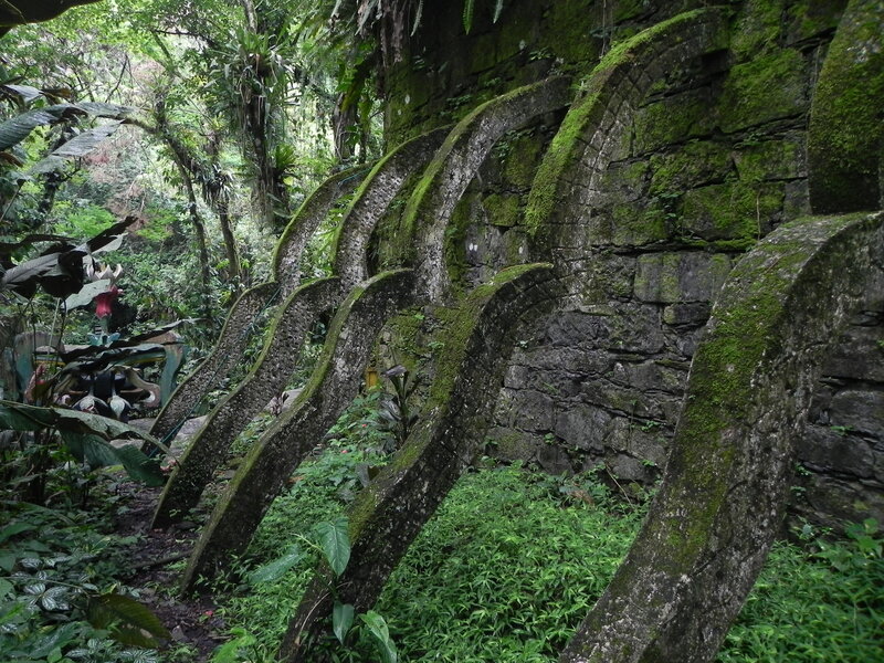 Moss-covered stone arches in jungle