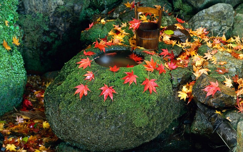 Moss-covered Stone Basin — Green