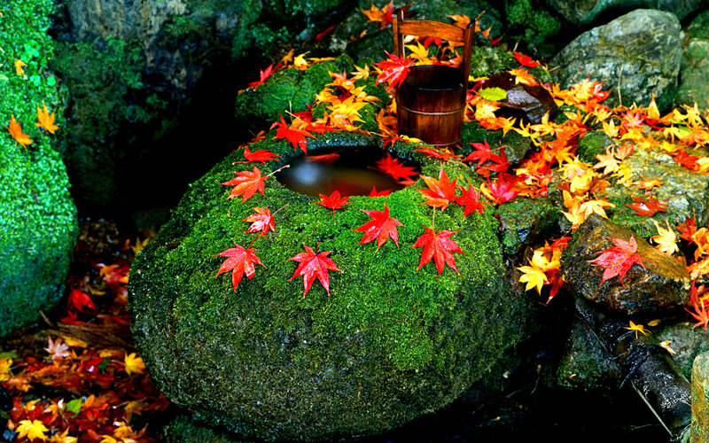 Moss-covered Stone Basin
