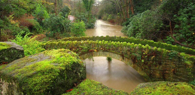 Moss-covered Stone Bridge — Green, Serene, Autumn