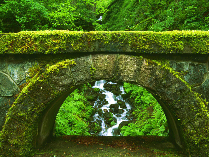 Moss-covered Stone Bridge — Green, Serene, Morning