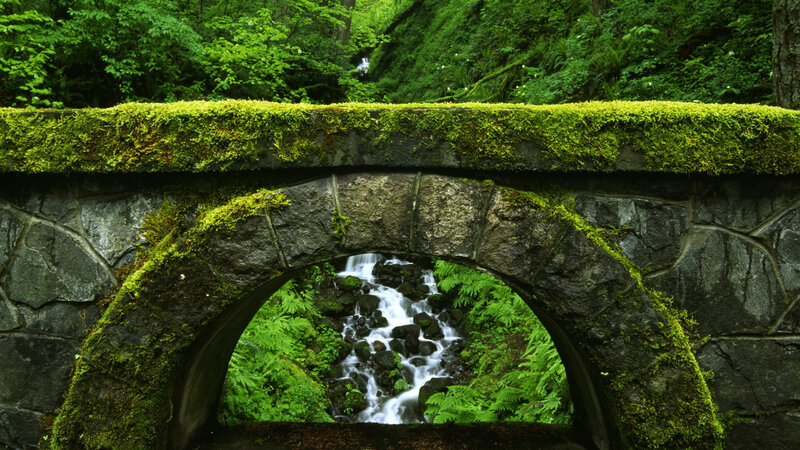 Moss-covered Stone Bridge — Green, Serene, Photograph, Stream, Forest, Arch