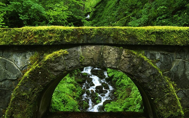 Moss-covered Stone Bridge — Green, Serene, Photograph, Stream, Forest, Rocks