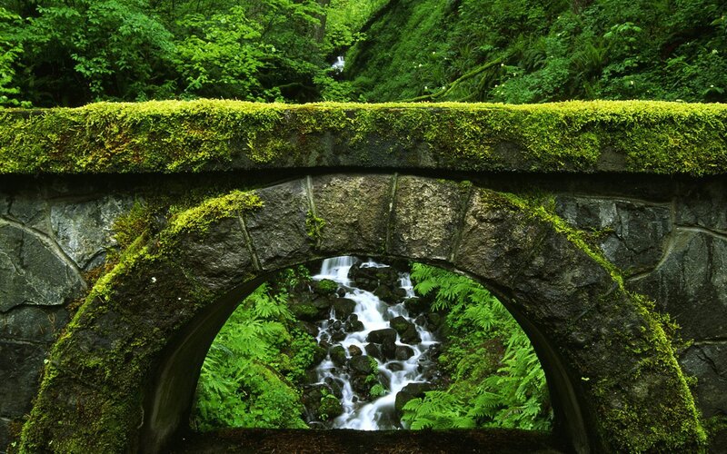 Moss-covered Stone Bridge — Green, Serene, Photograph