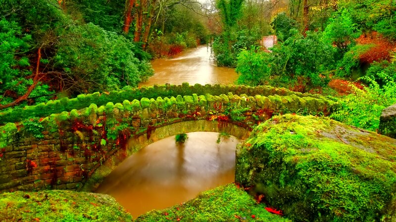 Moss-covered Stone Bridge — Green, Serene, Spring