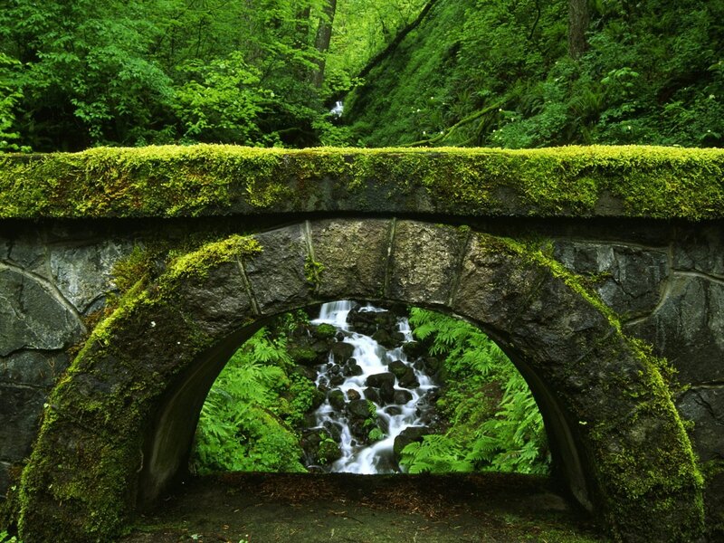 Moss-covered Stone Bridge — Green, Serene