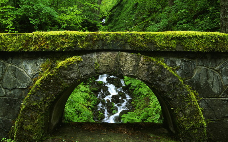 Moss-covered Stone Bridge — Green