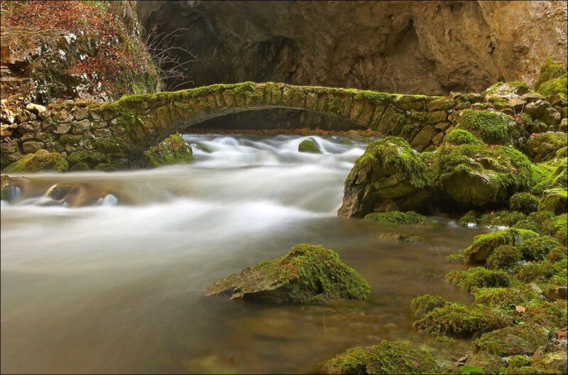 Moss-covered stone bridge over stream