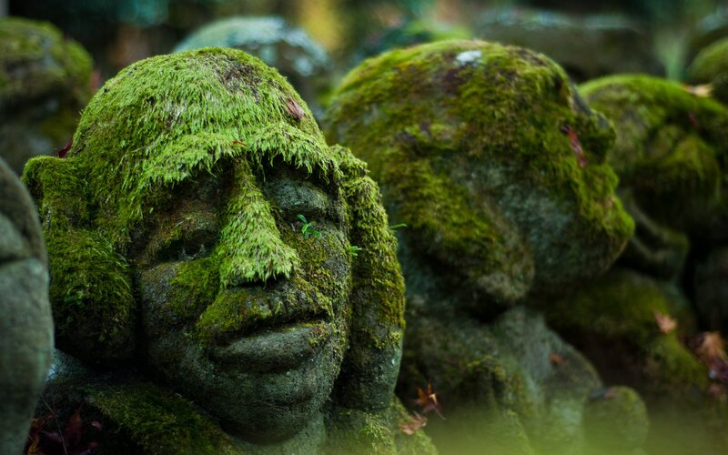 Moss-covered Stone Heads