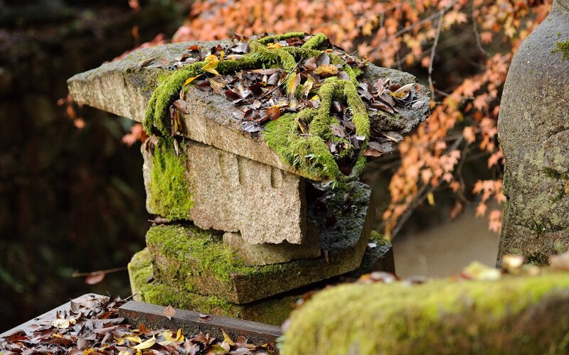 Moss-covered stone lantern