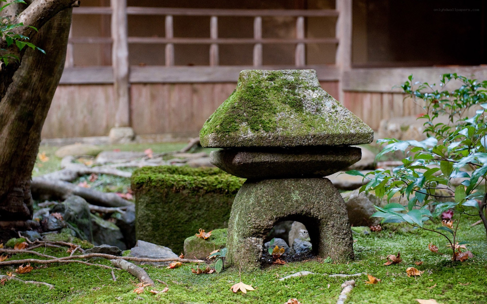 Moss-covered stone lantern in garden