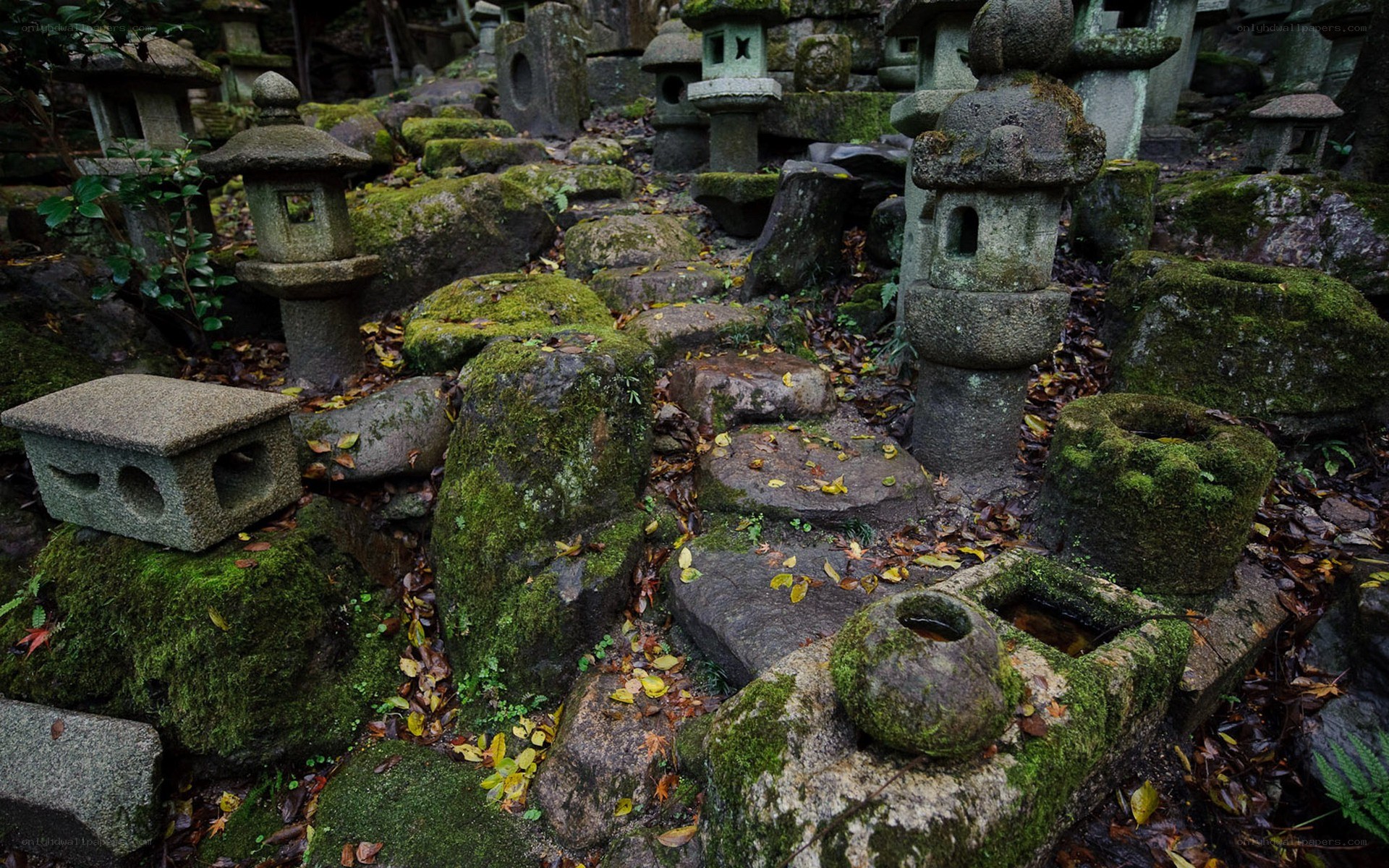 Moss-covered stone lanterns in a garden