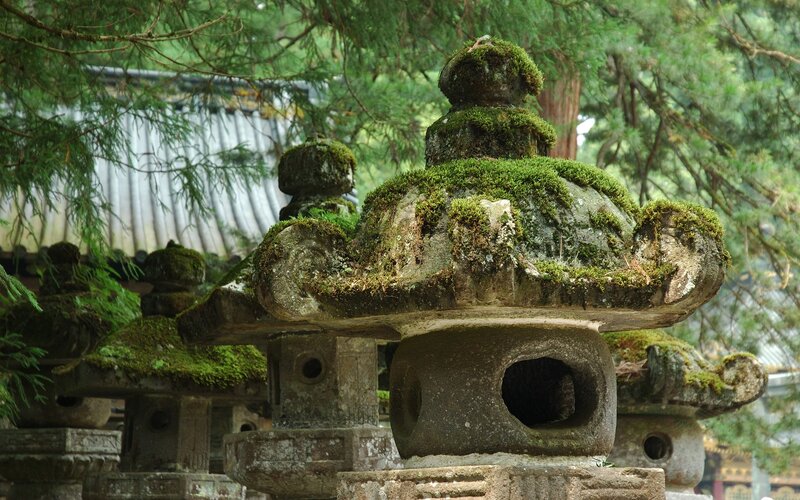 Moss-covered stone lanterns in a temple