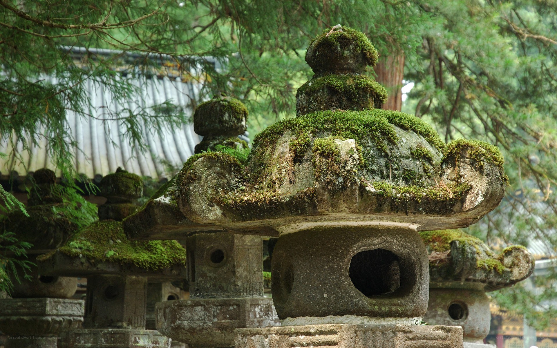 Moss-covered stone lanterns in a temple