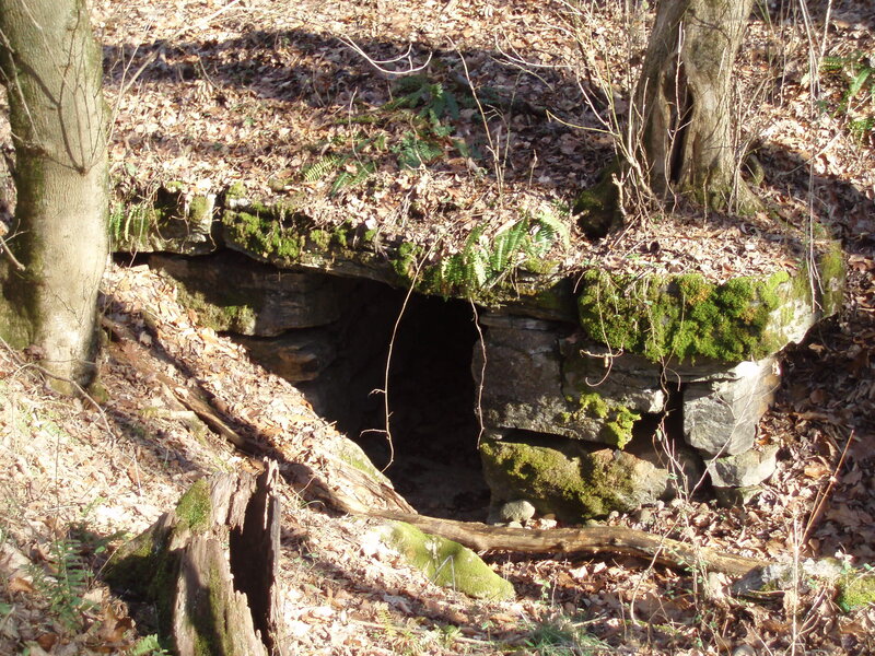 moss-covered stone shelter in forest