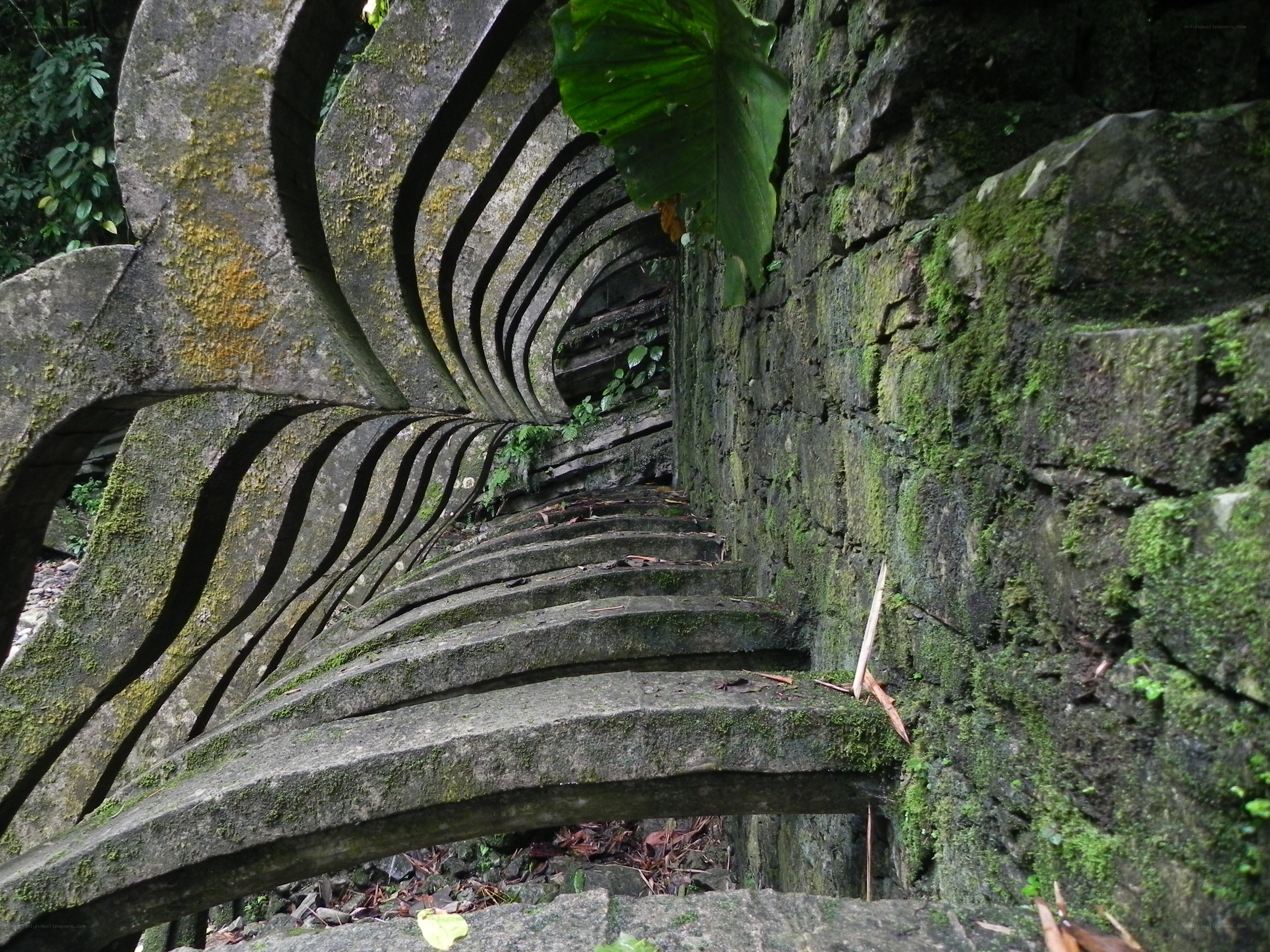 Moss-covered stone staircase