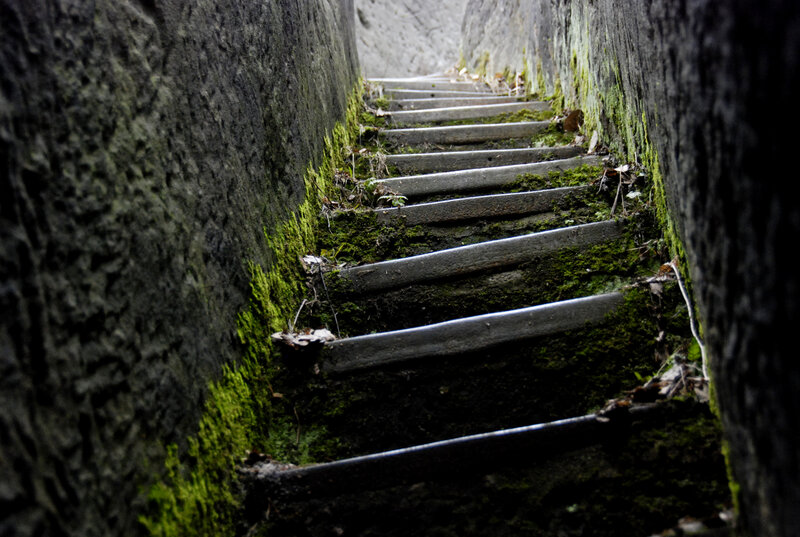 Moss-covered Stone Stairs