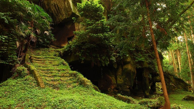 Moss-covered Stone Steps — Green, Serene, Afternoon, Photograph, Forest, Cave Entrance, Trees