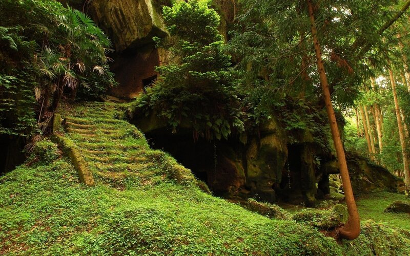 Moss-covered Stone Steps — Green, Serene, Afternoon, Photograph