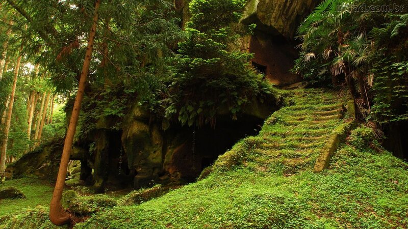Moss-covered Stone Steps — Green, Serene, Afternoon