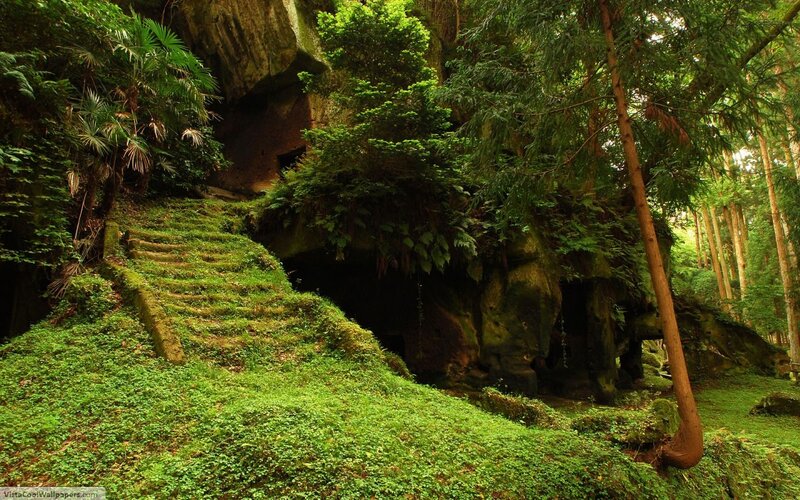 Moss-covered Stone Steps — Green