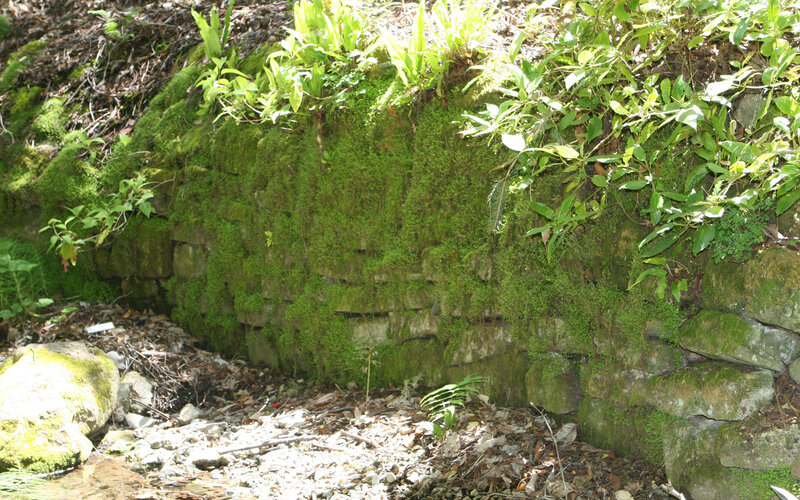 Moss-covered Stone Wall — Green