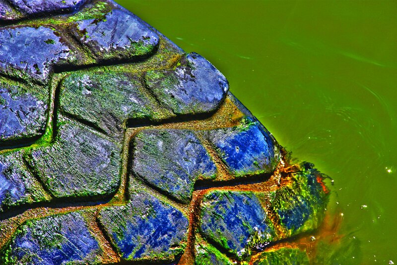 moss-covered stones by green water