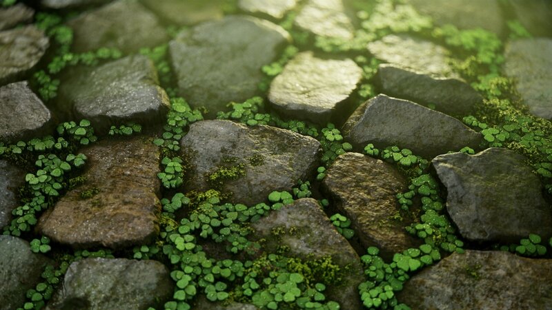 Moss-covered Stones