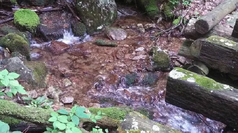 Moss-covered Stream — Green, Natural