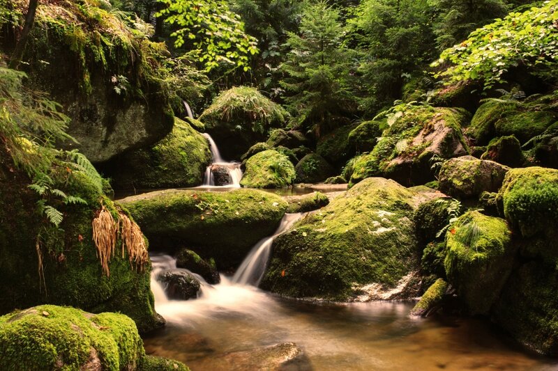 Moss-covered Stream — Green, Serene, Afternoon, Photograph, Forest, Rocks, Waterfall, Ferns
