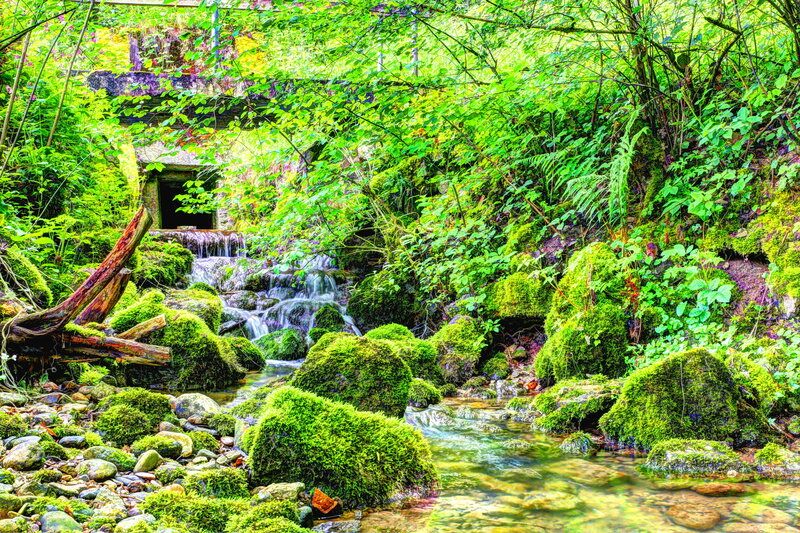 Moss-covered Stream — Green, Serene, Afternoon, Photograph, Moss