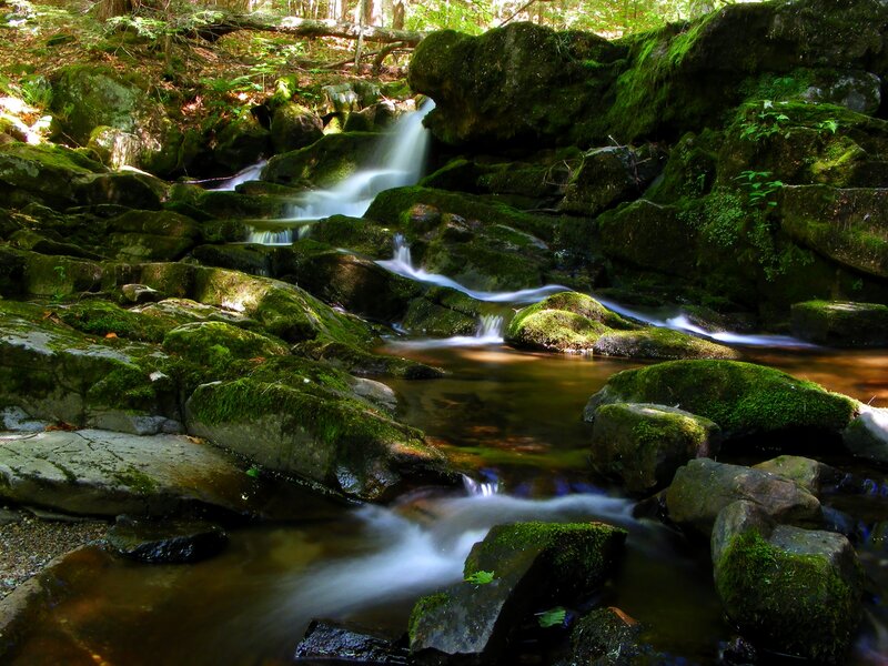 Moss-covered Stream — Green, Serene, Afternoon, Photograph, Rocks
