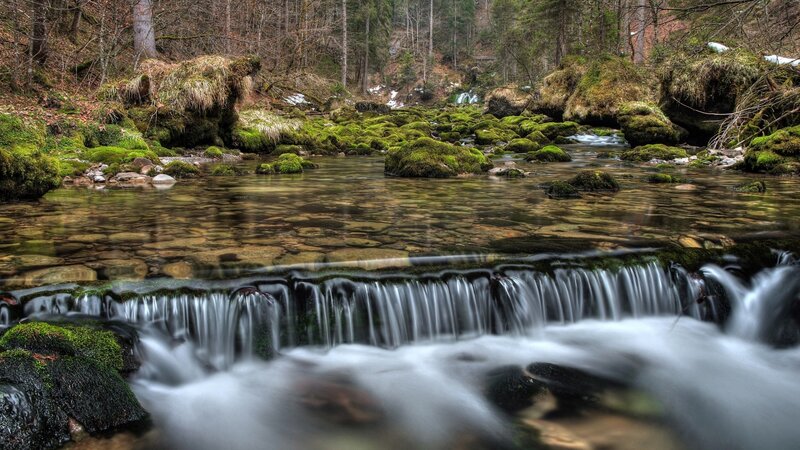 Moss-covered Stream — Green, Serene, Autumn, Photograph, Forest