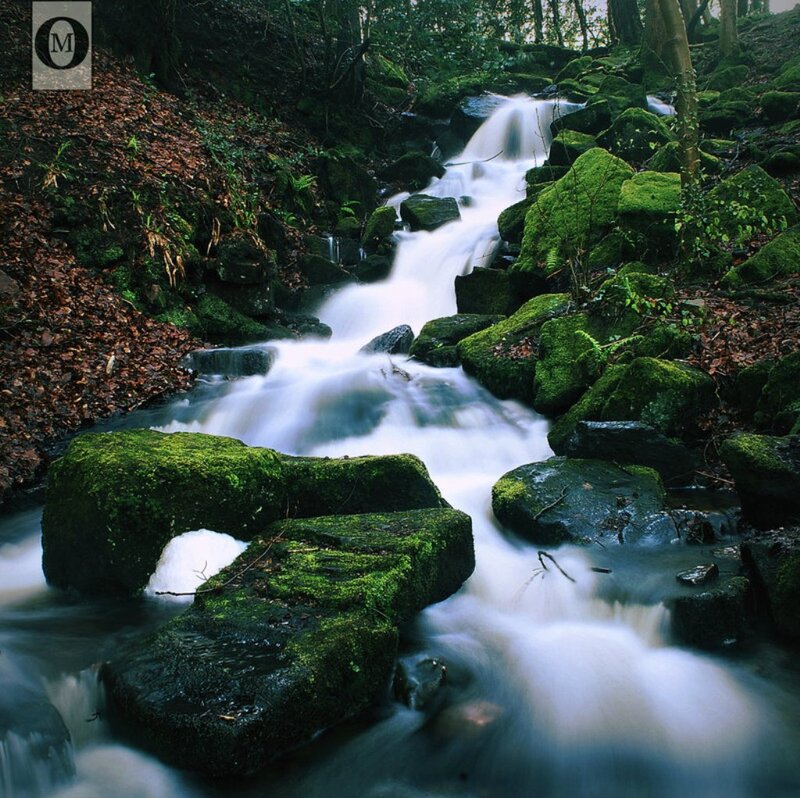 Moss-covered Stream — Green, Serene, Autumn, Photograph