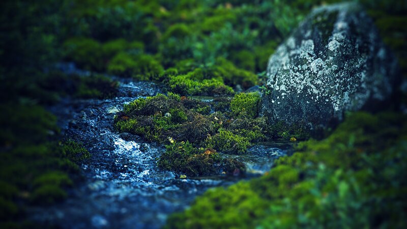 Moss-covered Stream — Green, Serene, Photograph, Moss, Rock