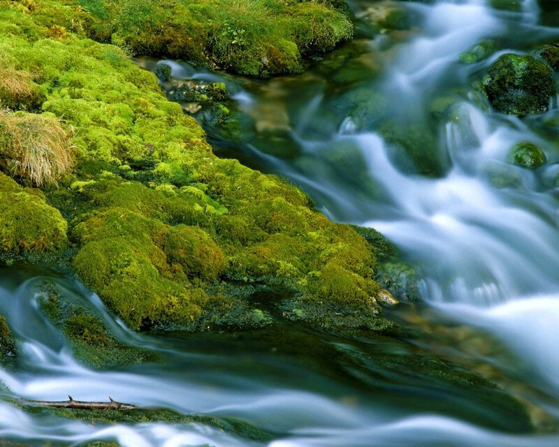 Moss-covered Stream — Green, Serene, Photograph, Moss, Rocks, Water, Blue