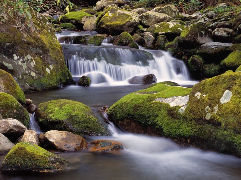 Moss-covered Stream — Green, Serene, Photograph, Rocks
