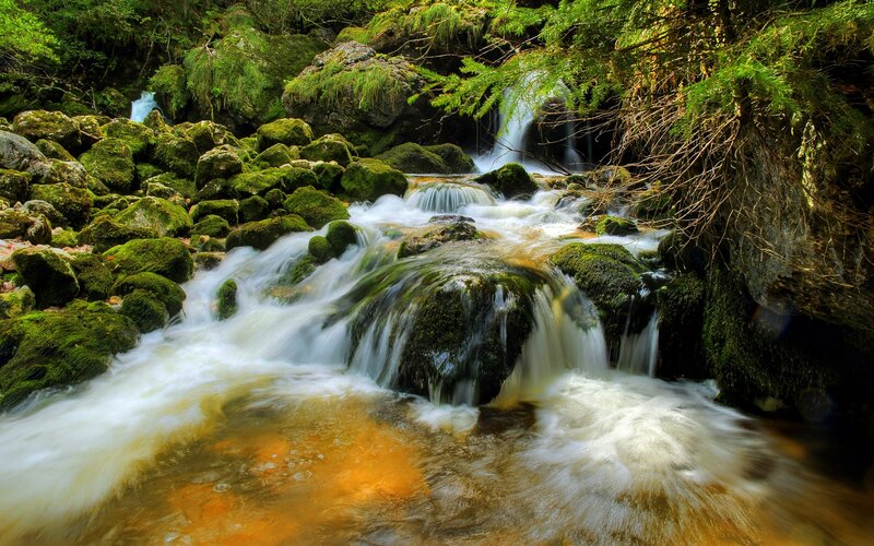 Moss-covered Stream — Green, Serene, Photograph, Rocks, Trees, Forest