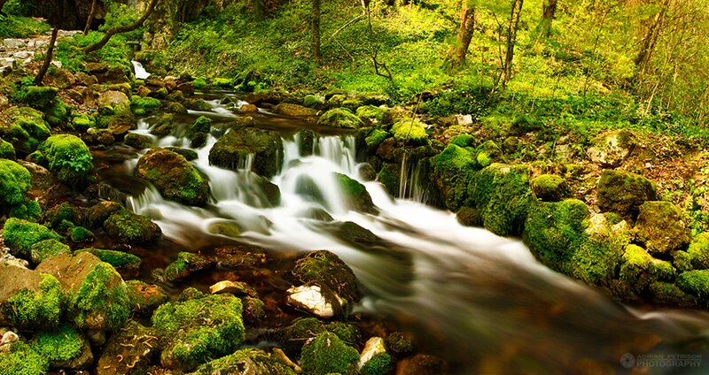 Moss-covered Stream — Green, Serene, Spring