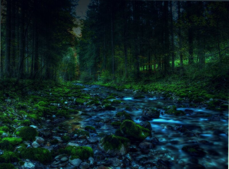 Moss-covered Stream in Forest — Green, Serene, Night