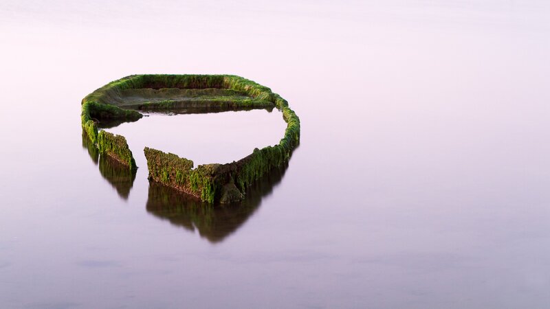 moss-covered structure in water